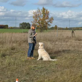 Bild von Dog-Profiler Hundeschule & Hundepension