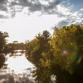 Enjoy nature, exercise, and recreation at The Murfreesboro Greenway