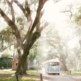 Wedding Transportation