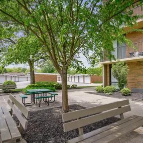 A tree with a green leaf is in the center of the image