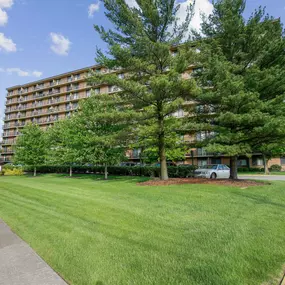 A large tree in front of a multi-story apartment building