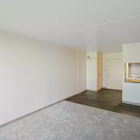A room with a grey carpet and white walls