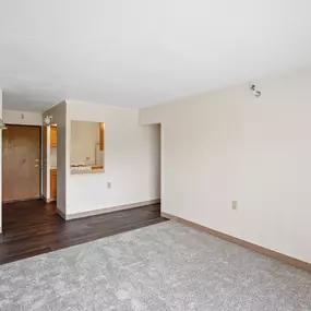 A room with a grey carpet and white walls