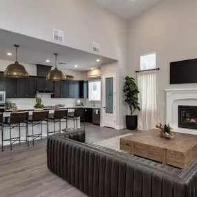 Clubhouse with lounge, fireplace & full kitchen
