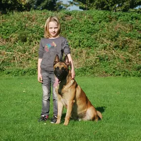 Bild von Command Control Protection Dogs