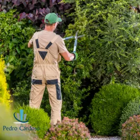 Bild von Pedro Cardoso Hausmeisterservice - Gartenpflege und Gebäudereinigung Bonn