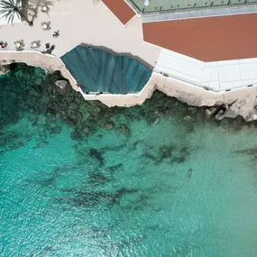 DJI_0100.jpg