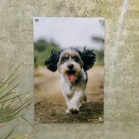 Maak van jouw mooiste herinneringen een uniek kunstwerk met onze gepersonaliseerde fotoproducten. Perfect als cadeau of als bijzondere toevoeging aan je interieur.