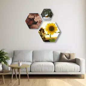 Maak van jouw mooiste herinneringen een uniek kunstwerk met onze gepersonaliseerde fotoproducten. Perfect als cadeau of als bijzondere toevoeging aan je interieur.