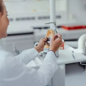 Bild von Zahnarztpraxis Elefant