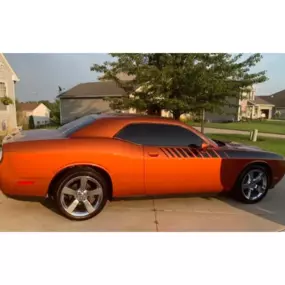 Bild von Signs & Window Tinting LLC