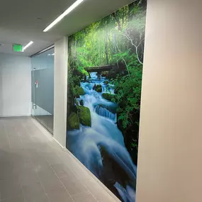 Wall Graphics