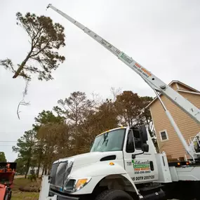 Tree removal and structural support lift for a two-story home.