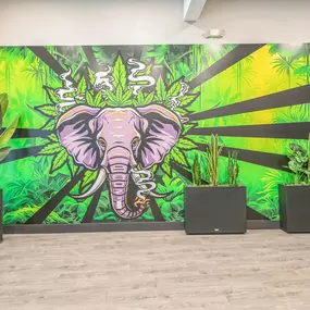 La Vida Gardens Dispensary Belleville NJ