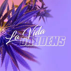 La Vida Gardens Dispensary Belleville NJ