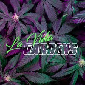 La Vida Gardens Dispensary Belleville NJ