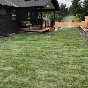 New backyard lawn installation