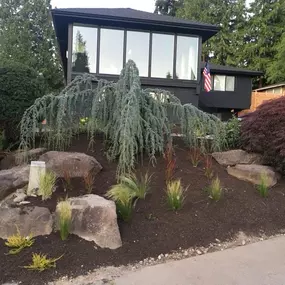 Front yard after spring cleanup services.