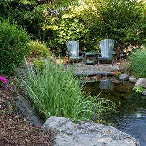 Water features add tranquility and visual interest and may attract wildlife.