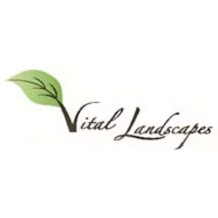 Logo von Vital Landscapes