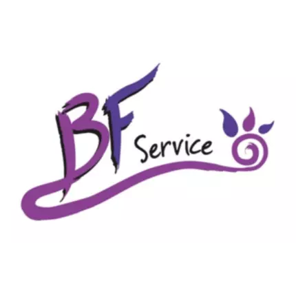 Logo von Bf Service | Autospurgo - Spurgo Pozzi  - Ricerca Perdite - Videoispezioni