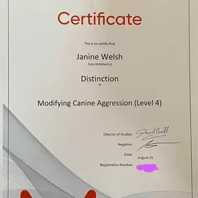 Bild von Awesome Pawz