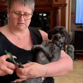 Bild von Awesome Pawz