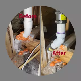 Bild von Plumb Intended