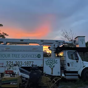 Bild von Your Tree Services