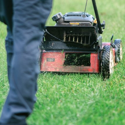 Logo de Terraluxe | Myrtle Beach Landscaping & Lawn Care