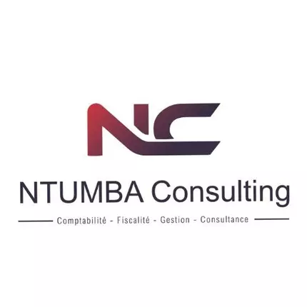 Logo de Ntumba consulting