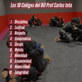 237186473-1-k4TnEO0CCR1740000941355.png
