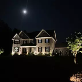 Bild von Divine Lightscapes