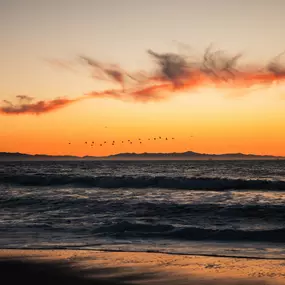 Bild von Staybridge Suites Oxnard - River Ridge by IHG
