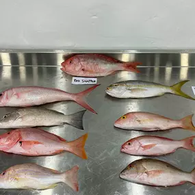 Bild von Más Fish Processing