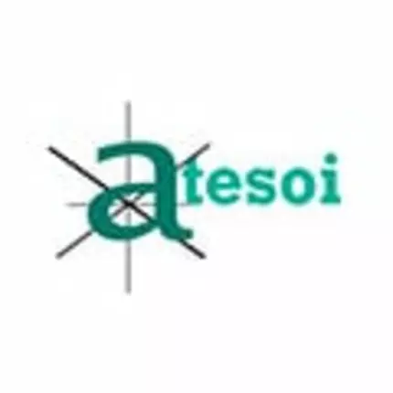 Logo van Atesoi