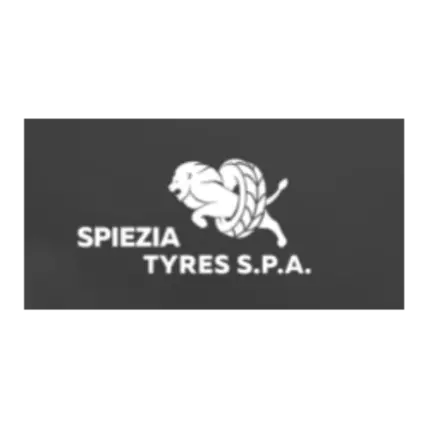 Logo von Spiezia Tyres