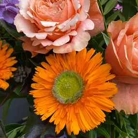 Bild von Blumen REIBOLD