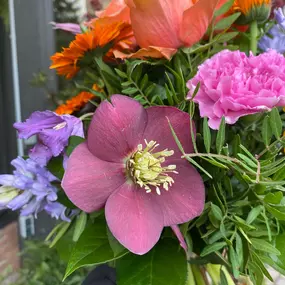 Bild von Blumen REIBOLD