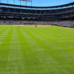 Happy First Day of Spring Baltimore! Who's looking forward to having these views back soon?