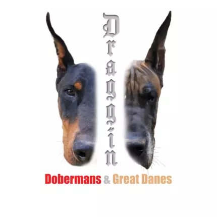 Logo de Draggin Dobermans