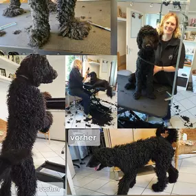 Bild von Esthers tierische Biberstube Hundefriseur