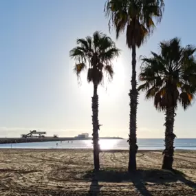 Bild von PARAISO DE CORTES APARTMENTS BEACH