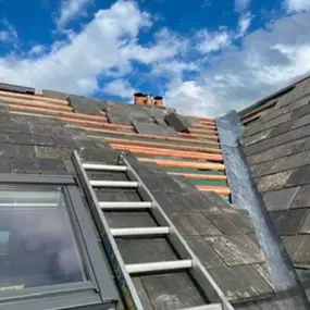 Bild von JL Roofing