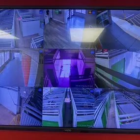 Security Screens