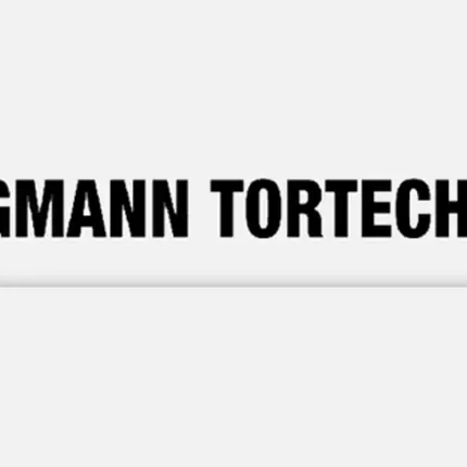 Logo de Stegmann Tortechnik GmbH