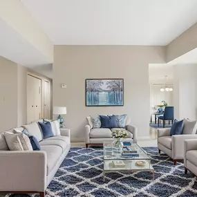 A furnished living room