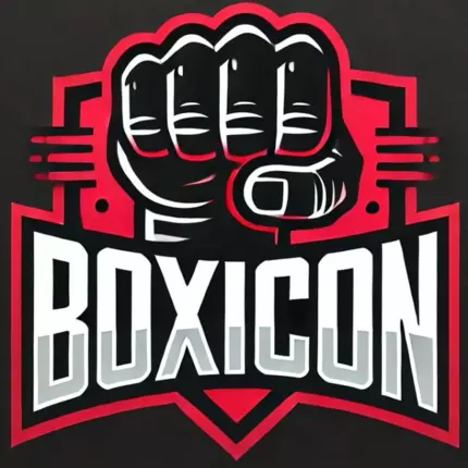 Logo von BoxIcon