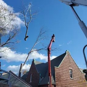 Bild von T.W. Enterprises, Inc Tree & Landscaping Co.