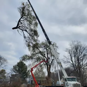 Bild von T.W. Enterprises, Inc Tree & Landscaping Co.